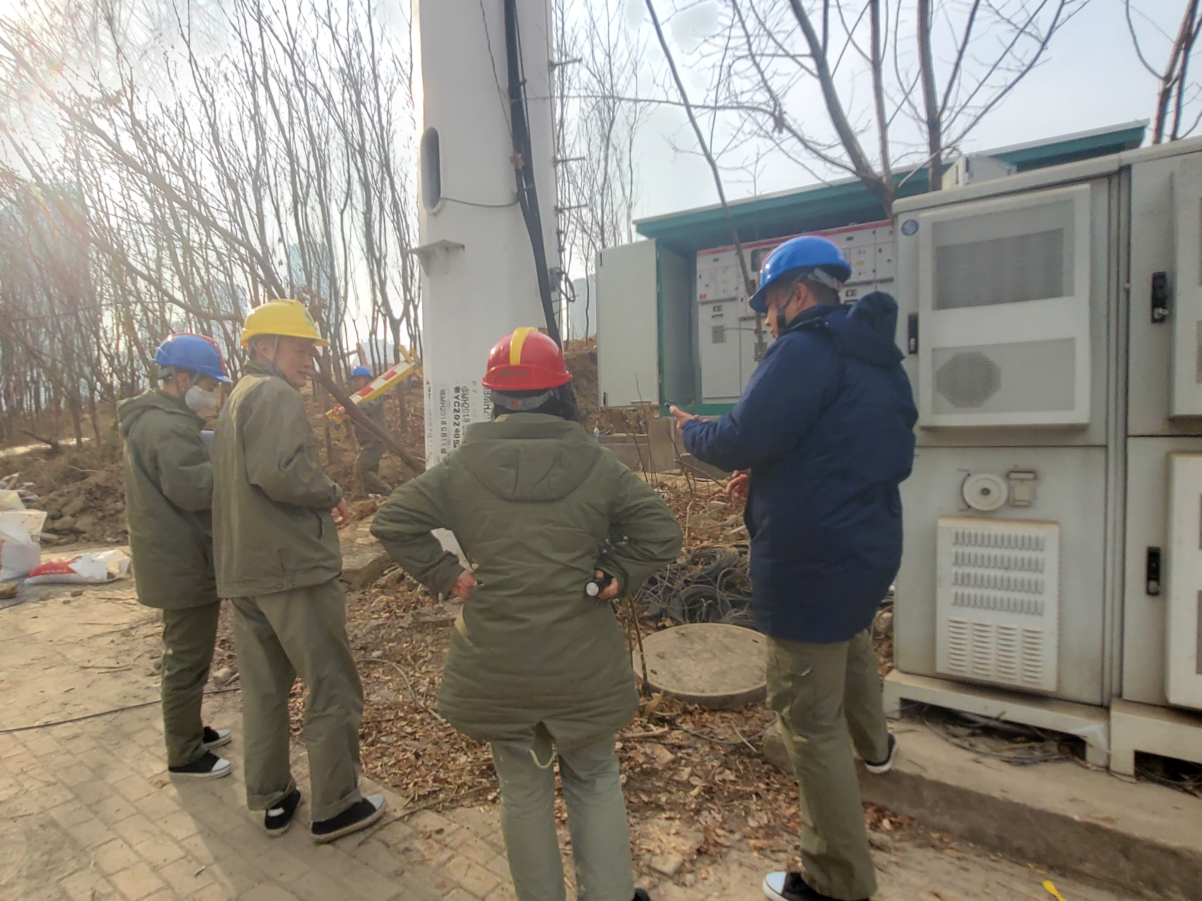 熱烈祝賀！武漢市漢陽區(qū)鯉魚洲項目送電成功！